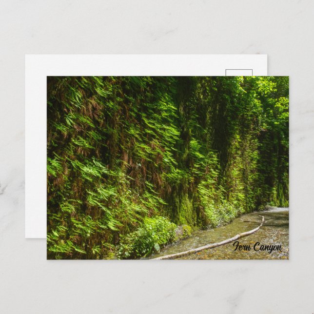 Postal Parque nacional Fern Canyon Redwood California (Anverso / Reverso)