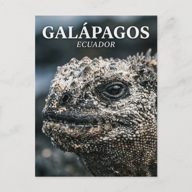 Postal Parque Nacional Galápagos Ecuador (Anverso)