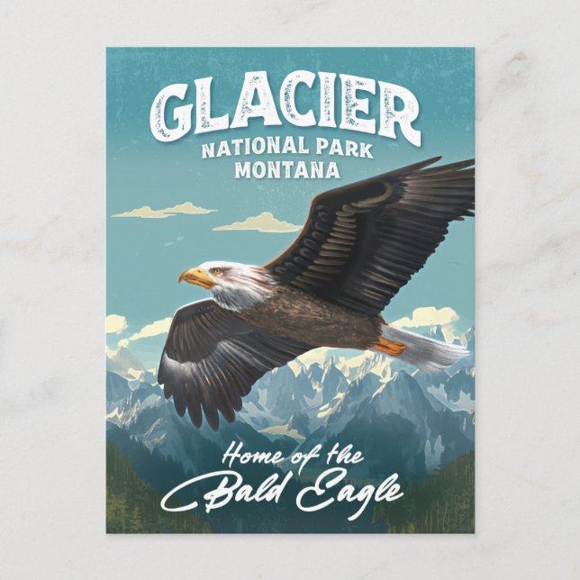 Postal Parque nacional Glacier Bald Eagle (Anverso)