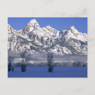 Postal PARQUE NACIONAL GRAND TETON, WYOMING. EE. UU. Nieb