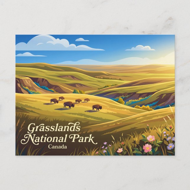 Postal Parque Nacional Grasslands Canadá (Anverso)