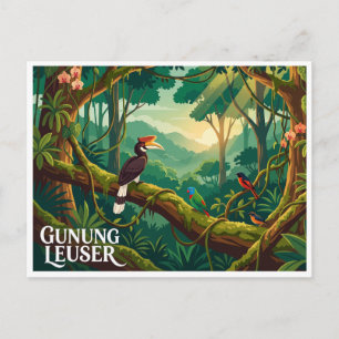 Postal Parque Nacional Gunung Leuser Bukit Lawang Indones