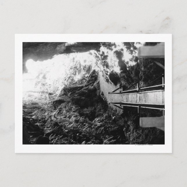 Postal Parque nacional Hawaii, vista de un tubo de lava (Anverso)