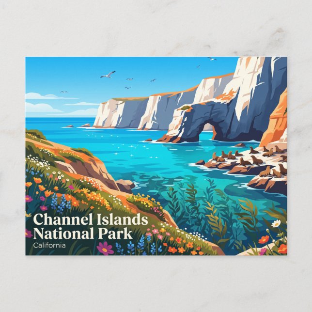 Postal Parque Nacional Islas del Canal EE. UU. (Anverso)