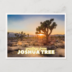 Postal Parque Nacional Joshua Tree Atardecer Retro Viaje