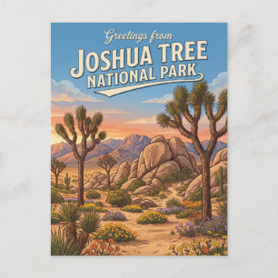 Postal Parque Nacional Joshua Tree California