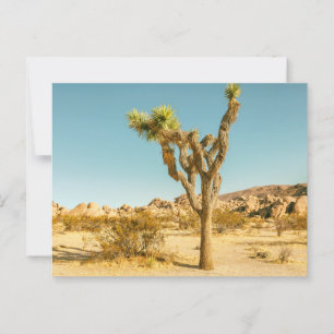 Postal Parque nacional Joshua Trees