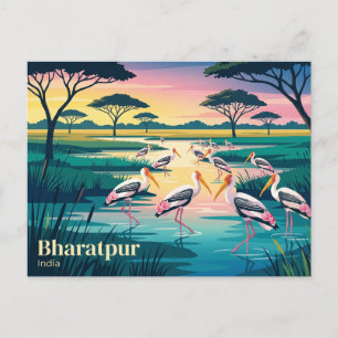 Postal Parque Nacional Keoladeo India