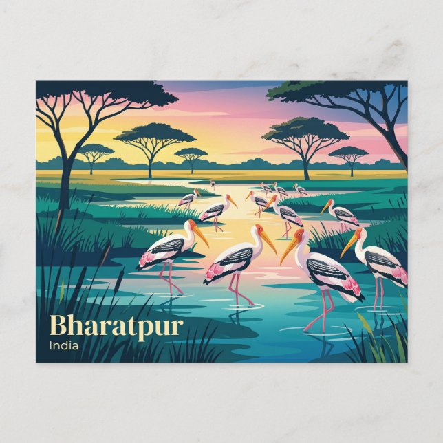 Postal Parque Nacional Keoladeo India (Anverso)