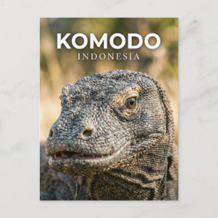 Postal Parque Nacional Komodo Indonesia