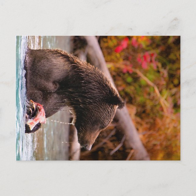 Postal Parque nacional Lake Clark Alaska (Anverso)