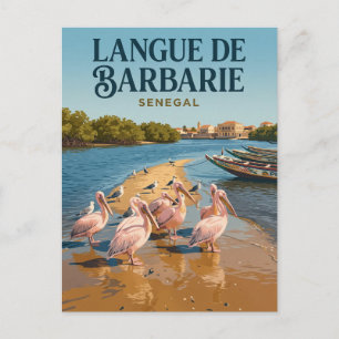 Postal Parque Nacional Langue de Barbarie Senegal