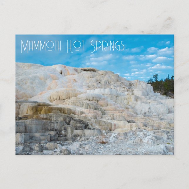 Postal Parque nacional Mammoth Hot Springs Yellowstone (Anverso)