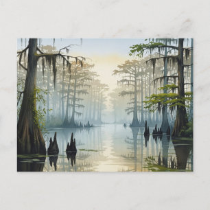 Postal Parque nacional Misty Congaree Carolina del Sur