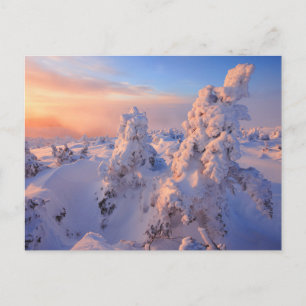 Postal Parque nacional Mont Logan Sunrise Gaspesie Quebec