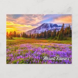 Postal Parque Nacional Mount Rainier, Washington