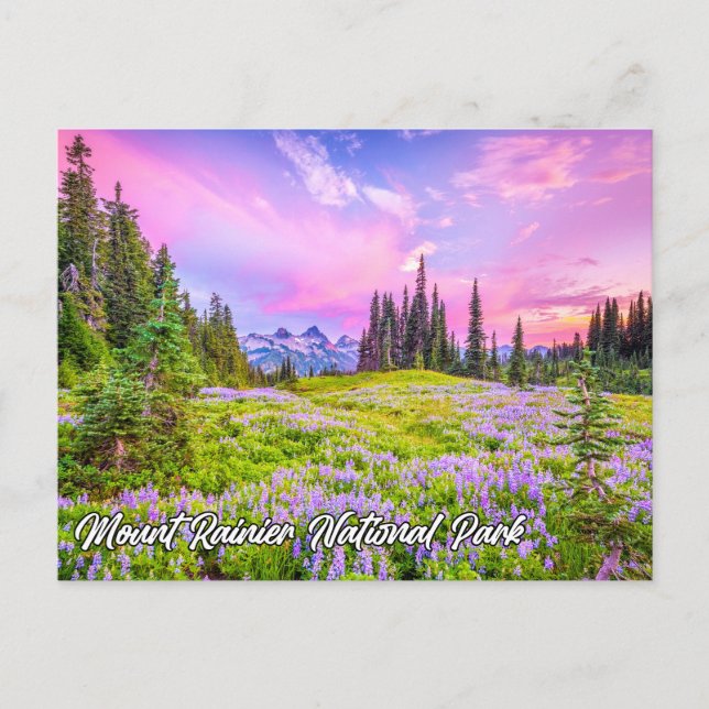 Postal Parque Nacional Mount Rainier, Washington (Anverso)