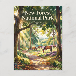Postal Parque Nacional New Forest Reino Unido