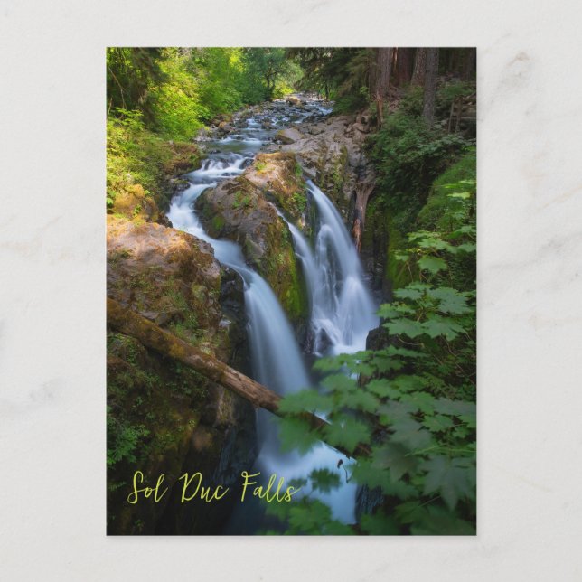 Postal Parque nacional olímpico Sol Duc Falls Washington (Anverso)