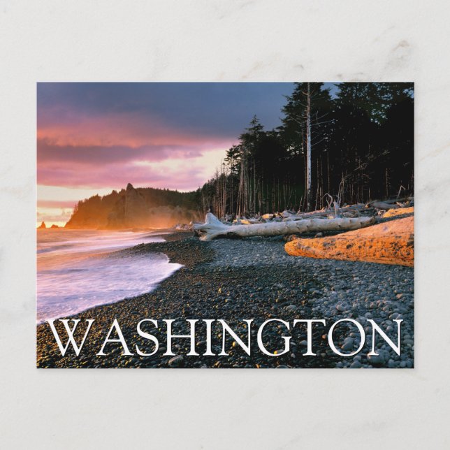 Postal Parque Nacional Olympic | Estado de Washington (Anverso)