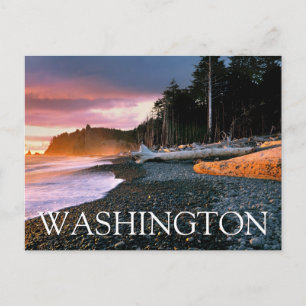 Postal Parque Nacional Olympic   Estado de Washington Gra