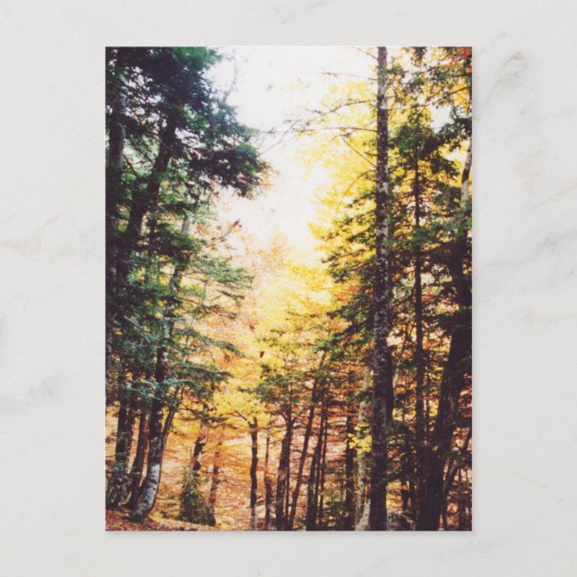 Postal Parque Nacional Ordesa (Anverso)