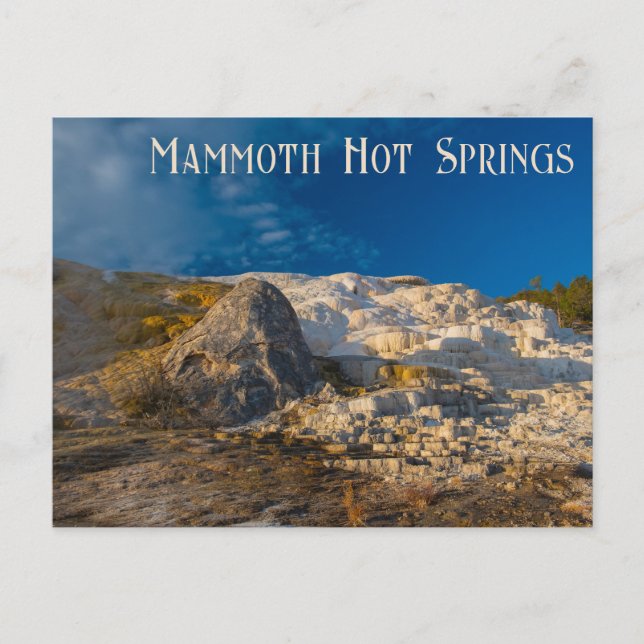 Postal Parque nacional Palette Spring Yellowstone (Anverso)