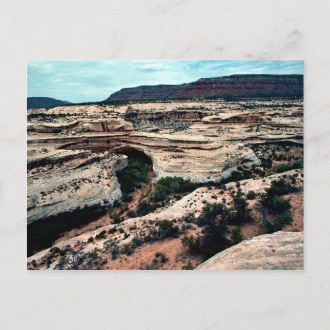 Postal Parque nacional Puentes Naturales (Anverso)
