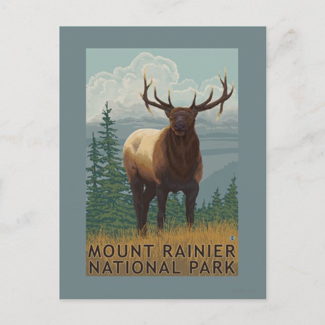 Postal Parque nacional Rainier, escena de WashingtonElk (Anverso)