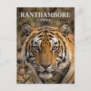 Postal Parque Nacional Ranthambore India