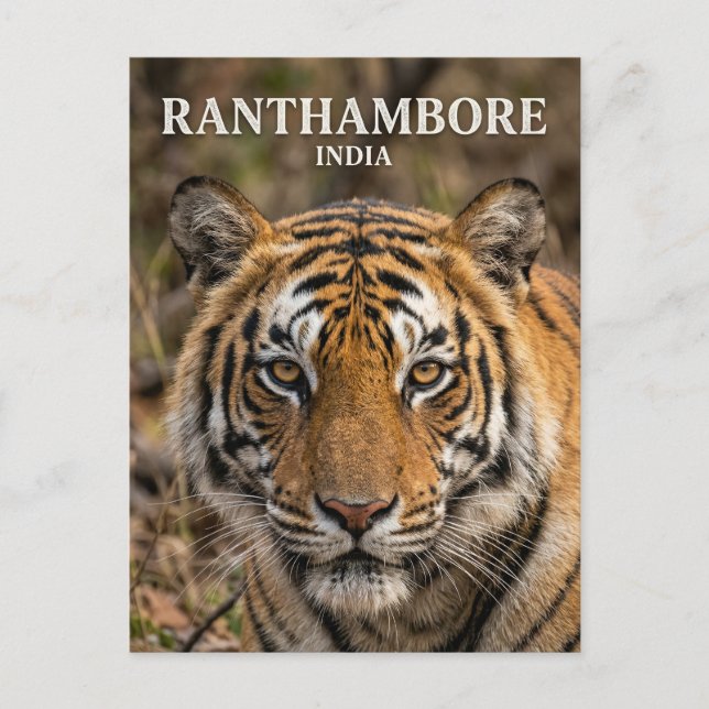 Postal Parque Nacional Ranthambore India (Anverso)