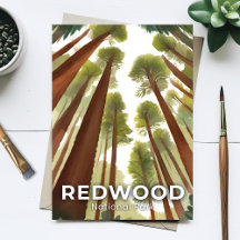 Parque Nacional Redwood | Bosque Alto Acuarela
