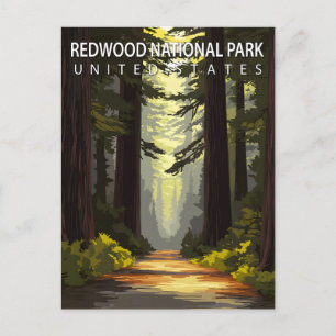 Postal Parque Nacional Redwood Senderismo Bosque