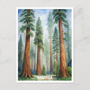 Postal Parque nacional Retro Sequoia