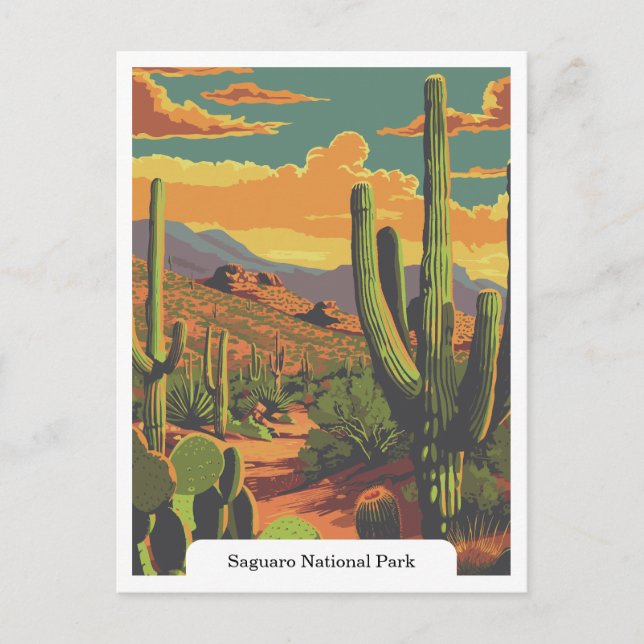 Postal Parque nacional Saguaro, Arizona EE.UU. (Anverso)