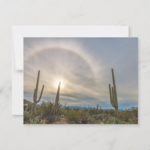Postal Parque nacional Saguaro con Sun Halo
