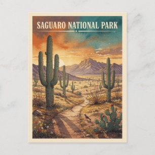 Postal Parque Nacional Saguaro Viaje Vintage