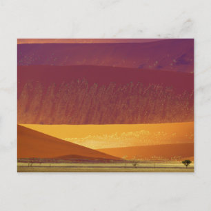 Postal Parque nacional Sand Dunes Namib-Naukluft Namibia