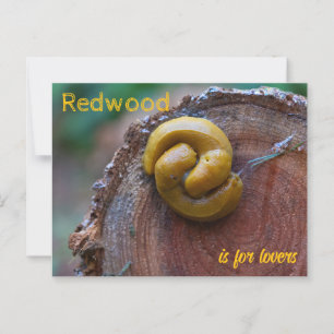 Postal Parque nacional secuoya Banana Slug Pair