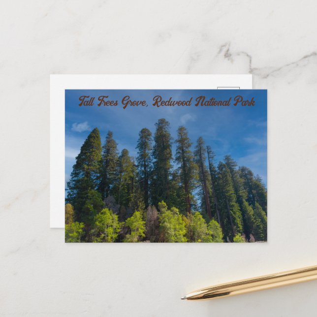 Postal Parque nacional secuwood Tall Trees Grove (Anverso/Reverso In Situ)