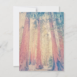 Postal Parque nacional Sequoia