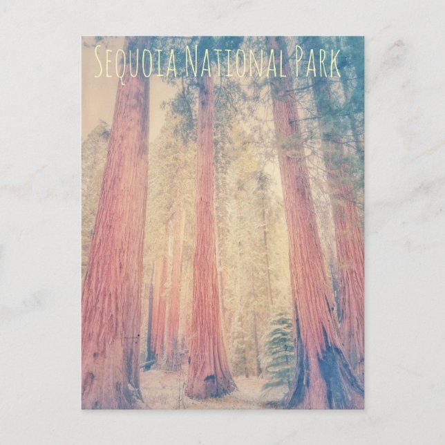 Postal Parque nacional Sequoia (Anverso)