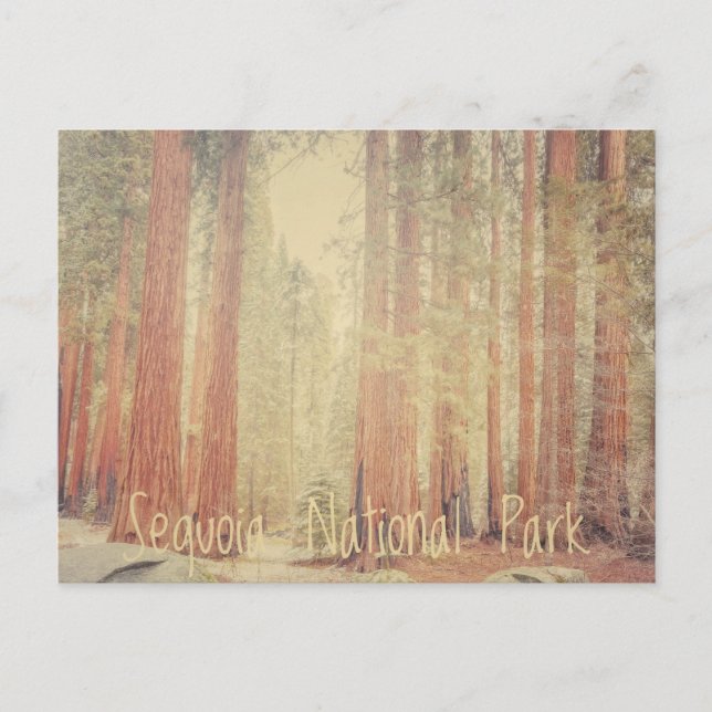 Postal Parque nacional Sequoia (Anverso)