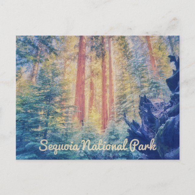 Postal Parque nacional Sequoia (Anverso)