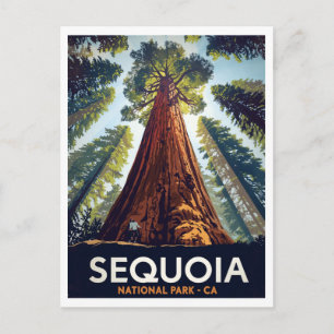 Postal Parque Nacional Sequoia Árboles Gigantes