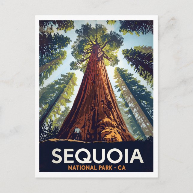 Postal Parque Nacional Sequoia Árboles Gigantes (Anverso)