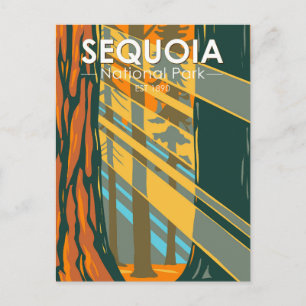 Postal Parque Nacional Sequoia Árboles Sequoia Gigantes