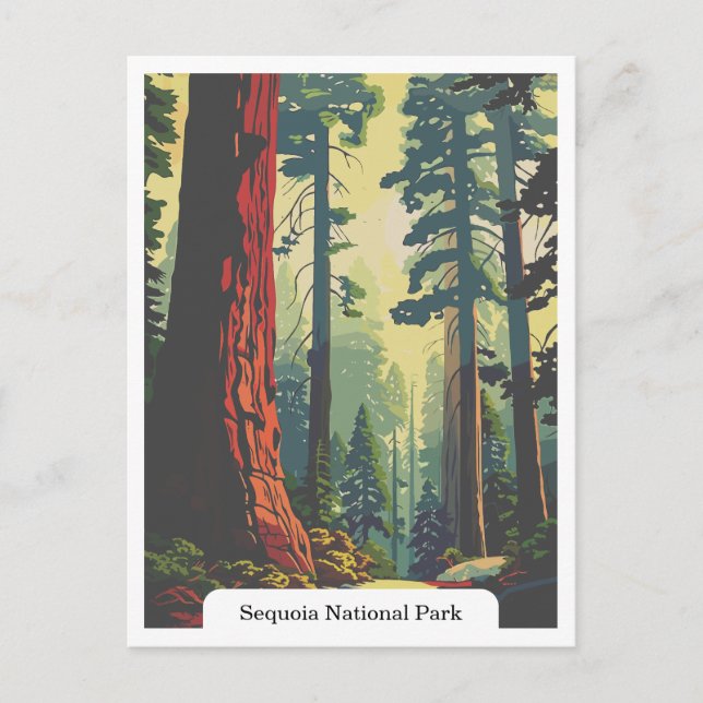 Postal Parque Nacional Sequoia, California, Estados Unido (Anverso)