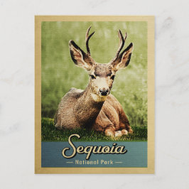 Postal Parque nacional Sequoia Deer Vintage Travel