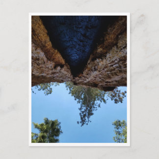 Postal Parque nacional Sequoia: Días de perros